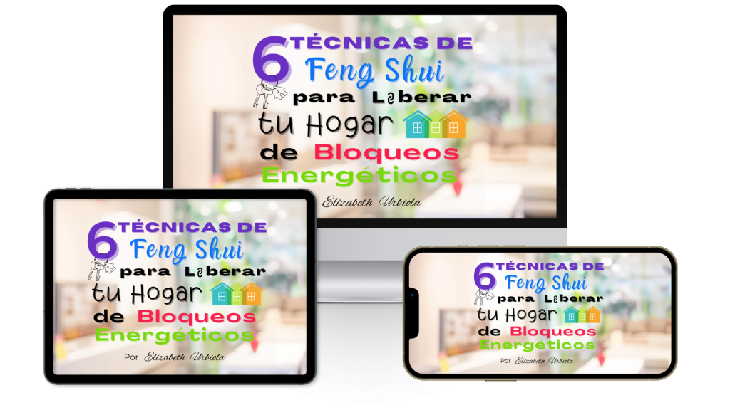 Desorden y Acumulación (5)